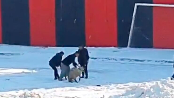 Kale ardında kurban kestiler. Vanspor 3 puanı cebine koydu
