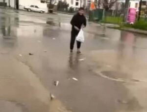 Bodrum’u vuran sağanakta farklı imgeler: Gölet taştı vatandaş saçılan balıkları topladı