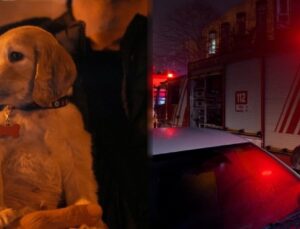 Kağıthane’de korkutan yangın: 11 kişi ve bir köpek kurtarıldı