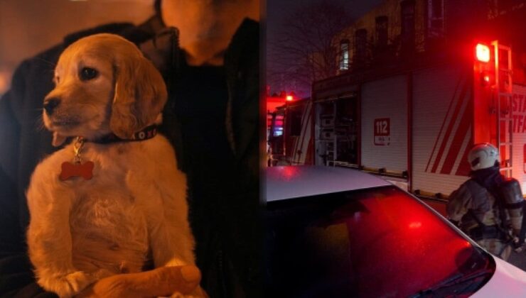 Kağıthane’de korkutan yangın: 11 kişi ve bir köpek kurtarıldı