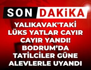 Son Dakika | Yalıkavak’taki lüks yatlar cayır cayır yandı! Bodrum’da tatilciler güne alevlerle uyandı