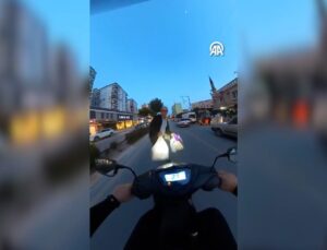 Motosikletin çarptığı yaya yola savruldu: O anlar kamerada