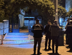Bayanı darbetti ortaya giren 2 kardeşi bıçakladı