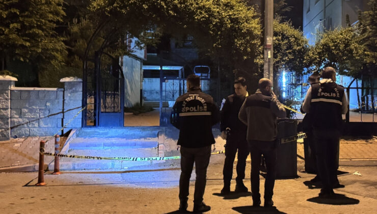 Bayanı darbetti ortaya giren 2 kardeşi bıçakladı