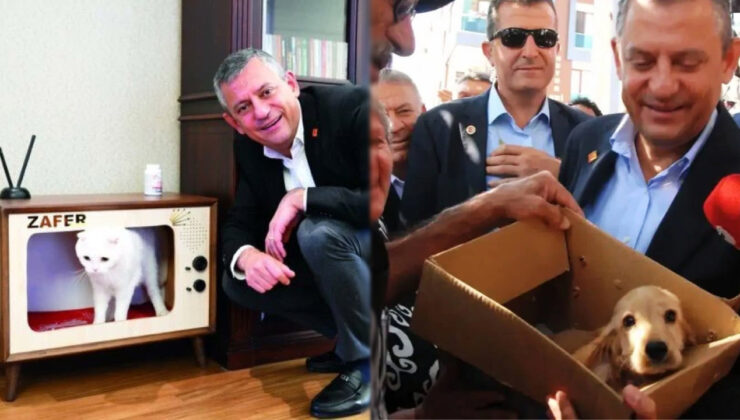 Genel merkezde biber gazından etkilenmişlerdi: CHP’nin kedisi Zafer ve köpeği Mayıs tedavi oldu