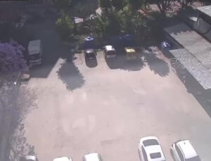 Kediler için sokağa bırakılan mamayı çaldı