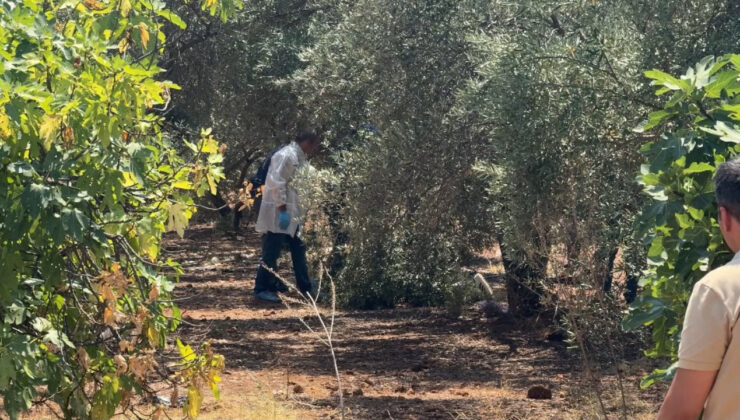 Antalya’da bir genç elleri arkadan bağlı halde meyyit bulundu